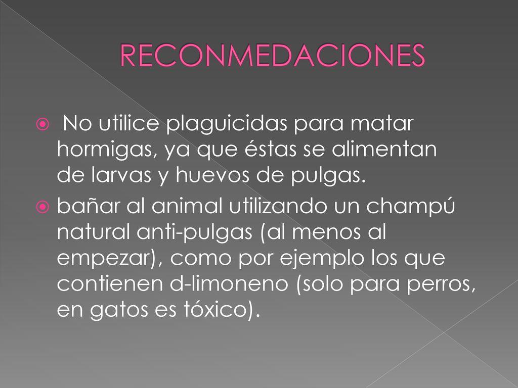 RECONMEDACIONES No utilice plaguicidas para matar hormigas, ya que éstas se alimentan de larvas y huevos de pulgas.