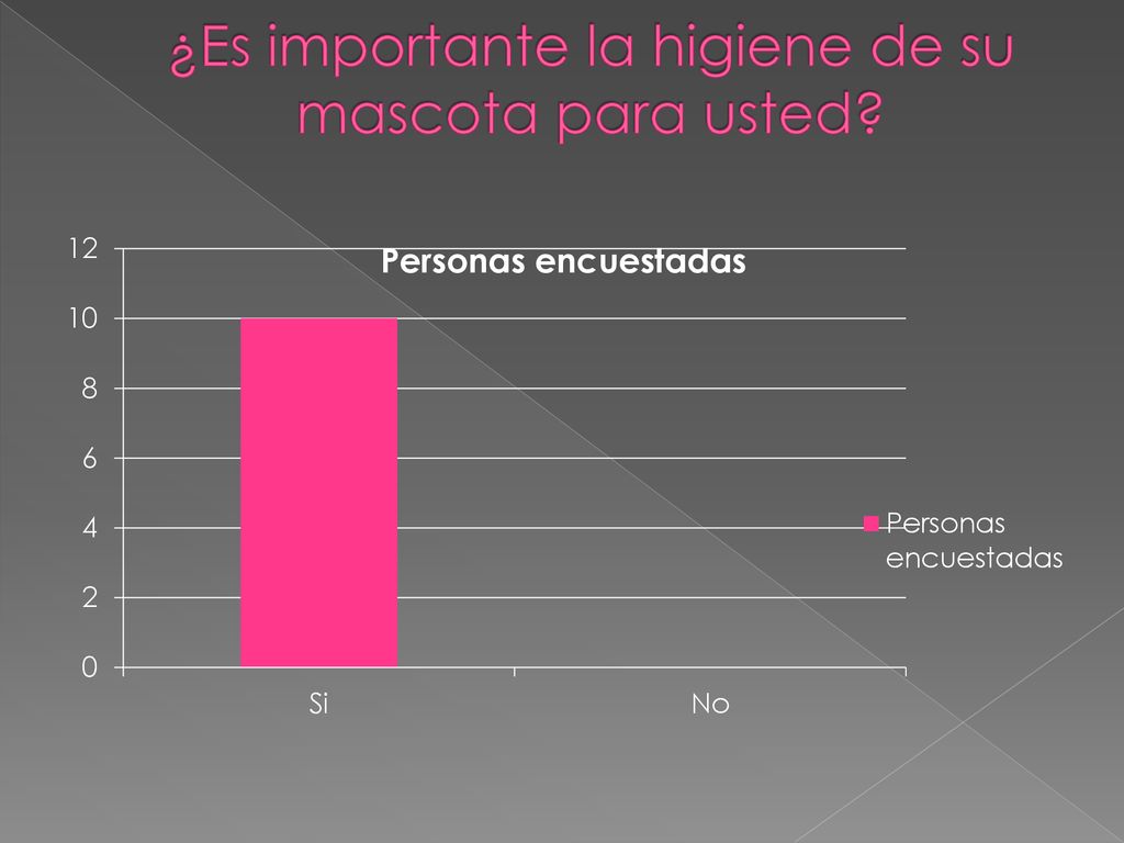 ¿Es importante la higiene de su mascota para usted