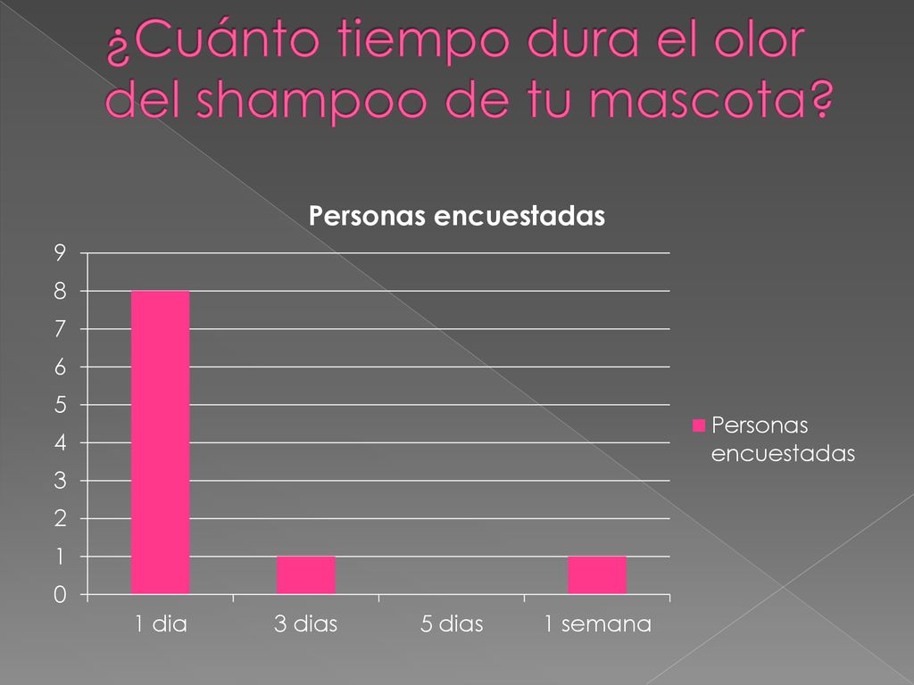 ¿Cuánto tiempo dura el olor del shampoo de tu mascota