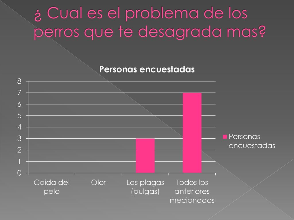 ¿ Cual es el problema de los perros que te desagrada mas