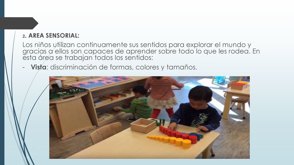 Vista: discriminación de formas, colores y tamaños.