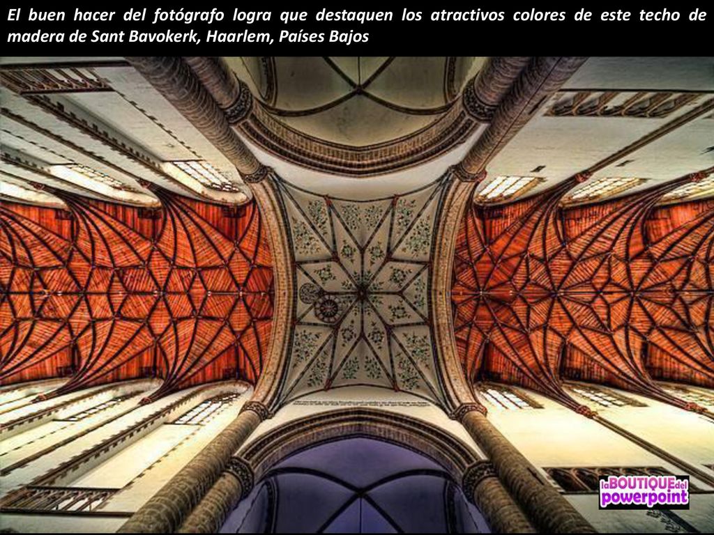 El buen hacer del fotógrafo logra que destaquen los atractivos colores de este techo de madera de Sant Bavokerk, Haarlem, Países Bajos