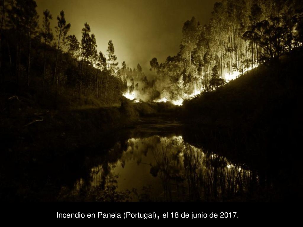 Incendio en Panela (Portugal), el 18 de junio de 2017.