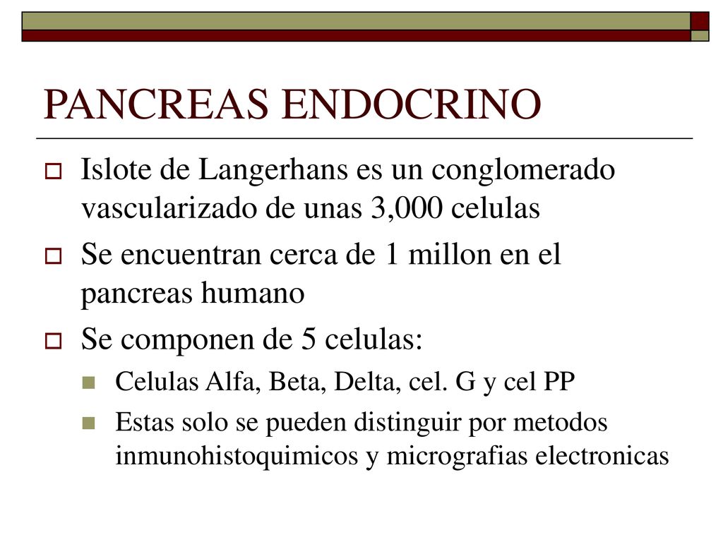 PANCREAS ENDOCRINO Islote de Langerhans es un conglomerado vascularizado de unas 3,000 celulas.