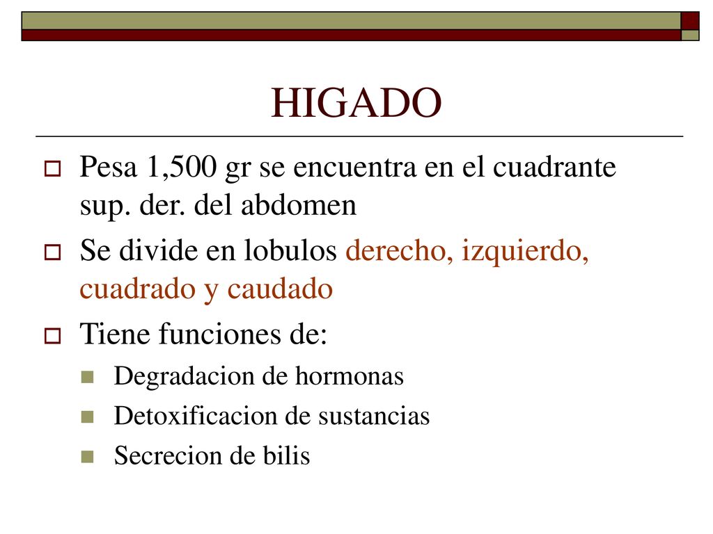 HIGADO Pesa 1,500 gr se encuentra en el cuadrante sup. der. del abdomen. Se divide en lobulos derecho, izquierdo, cuadrado y caudado.