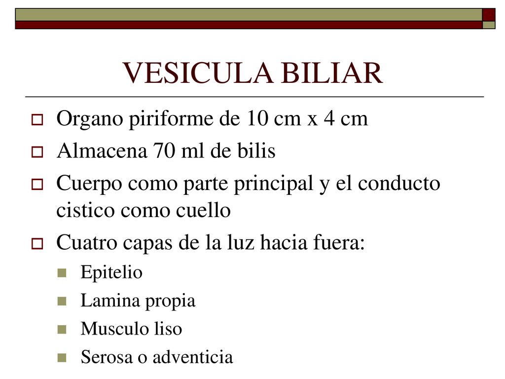 VESICULA BILIAR Organo piriforme de 10 cm x 4 cm