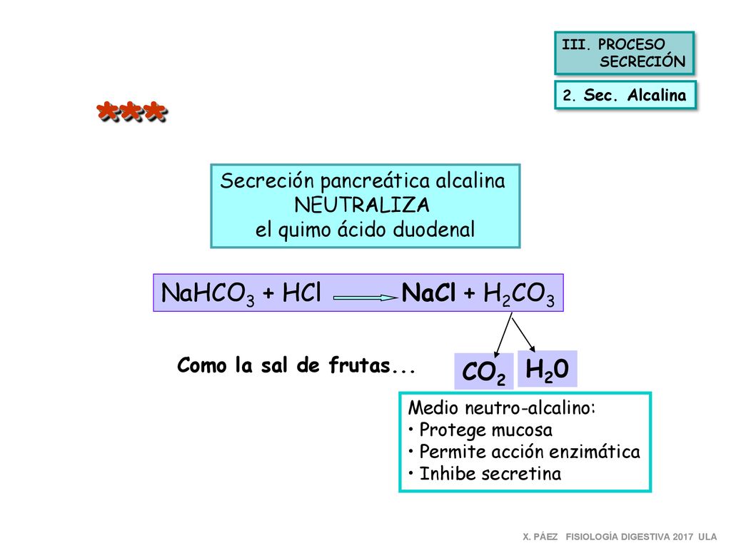 * ** NaHCO3 + HCl NaCl + H2CO3 H20 CO2 Secreción pancreática alcalina