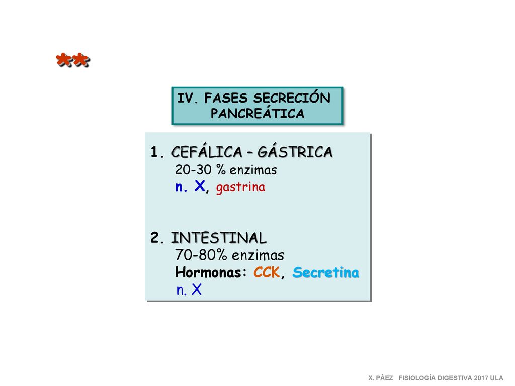 ** 1. CEFÁLICA – GÁSTRICA % enzimas n. X, gastrina 2. INTESTINAL