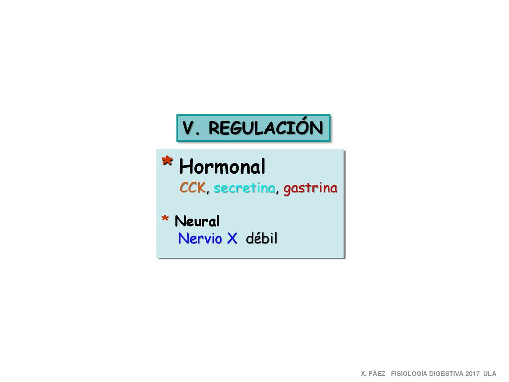 * Hormonal V. REGULACIÓN CCK, secretina, gastrina * Neural