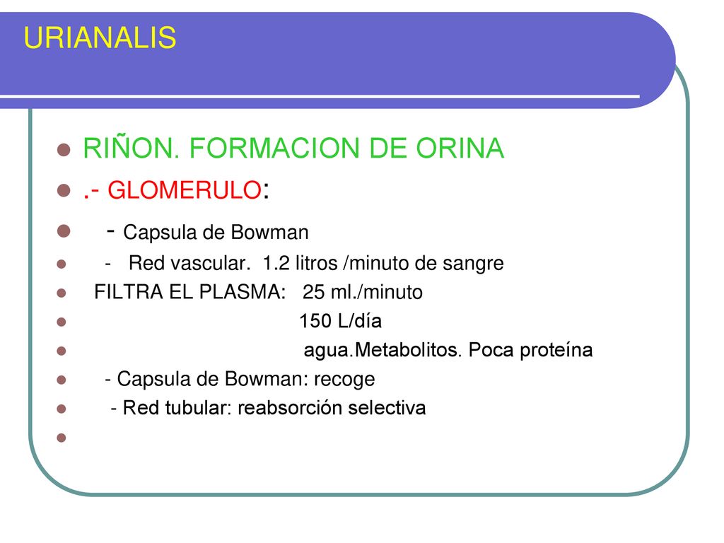 URIANALIS RIÑON. FORMACION DE ORINA .- GLOMERULO: - Capsula de Bowman