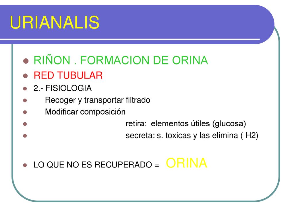 URIANALIS RIÑON . FORMACION DE ORINA RED TUBULAR 2.- FISIOLOGIA