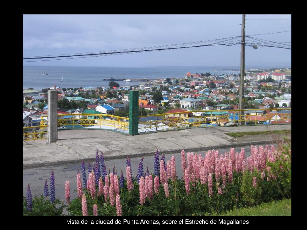 vista de la ciudad de Punta Arenas, sobre el Estrecho de Magallanes