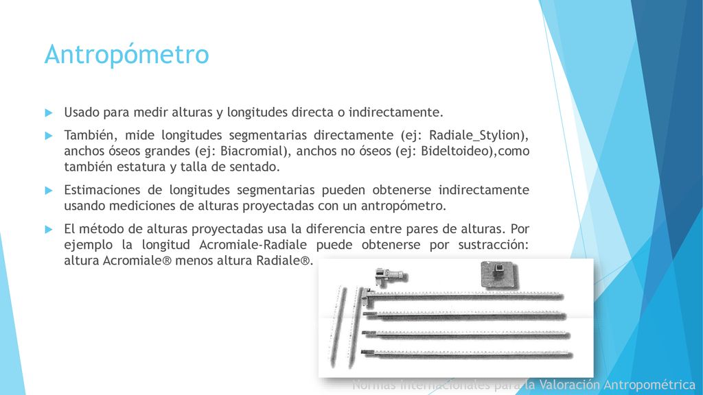 Antropómetro Usado para medir alturas y longitudes directa o indirectamente.