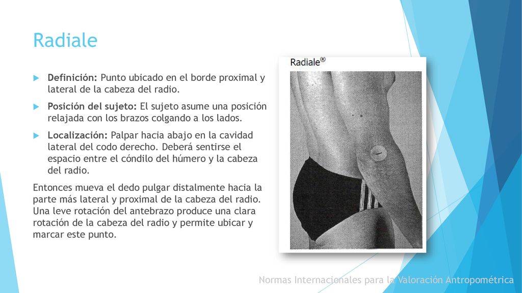 Radiale Definición: Punto ubicado en el borde proximal y lateral de la cabeza del radio.