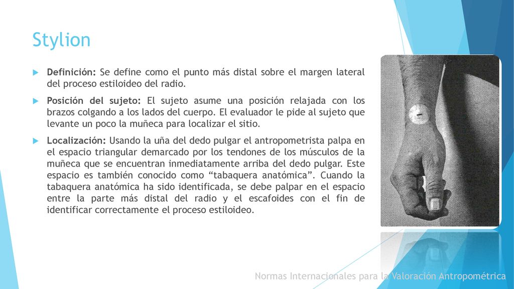 Stylion Definición: Se define como el punto más distal sobre el margen lateral del proceso estiloideo del radio.