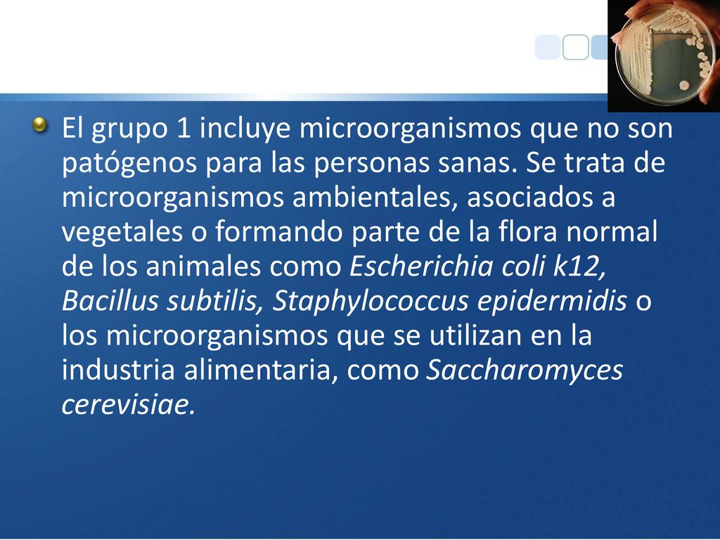 El grupo 1 incluye microorganismos que no son patógenos para las personas sanas.