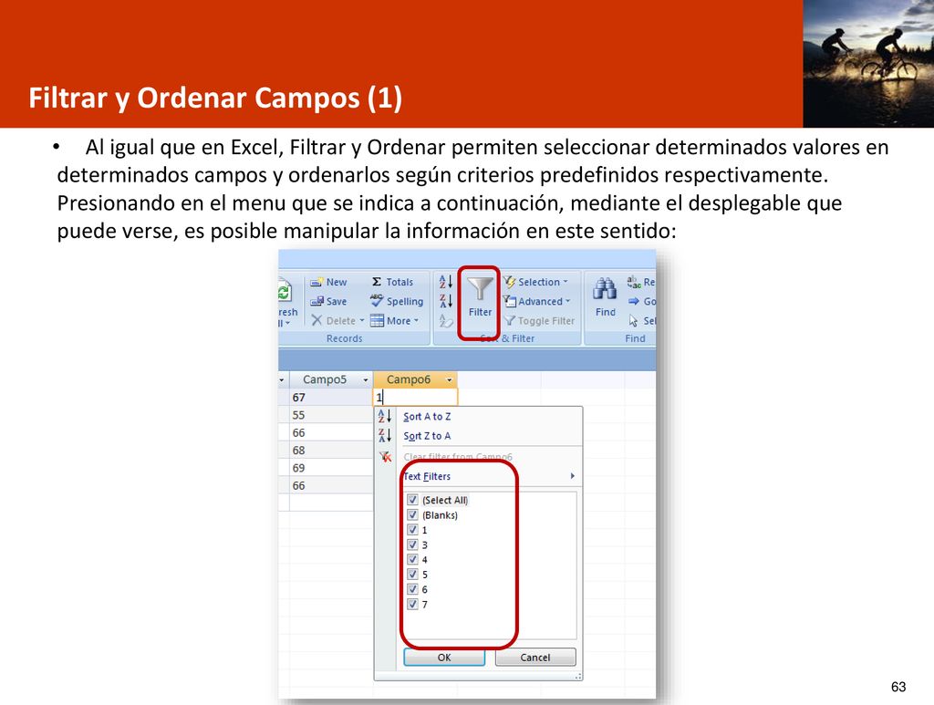 Filtrar y Ordenar Campos (1)