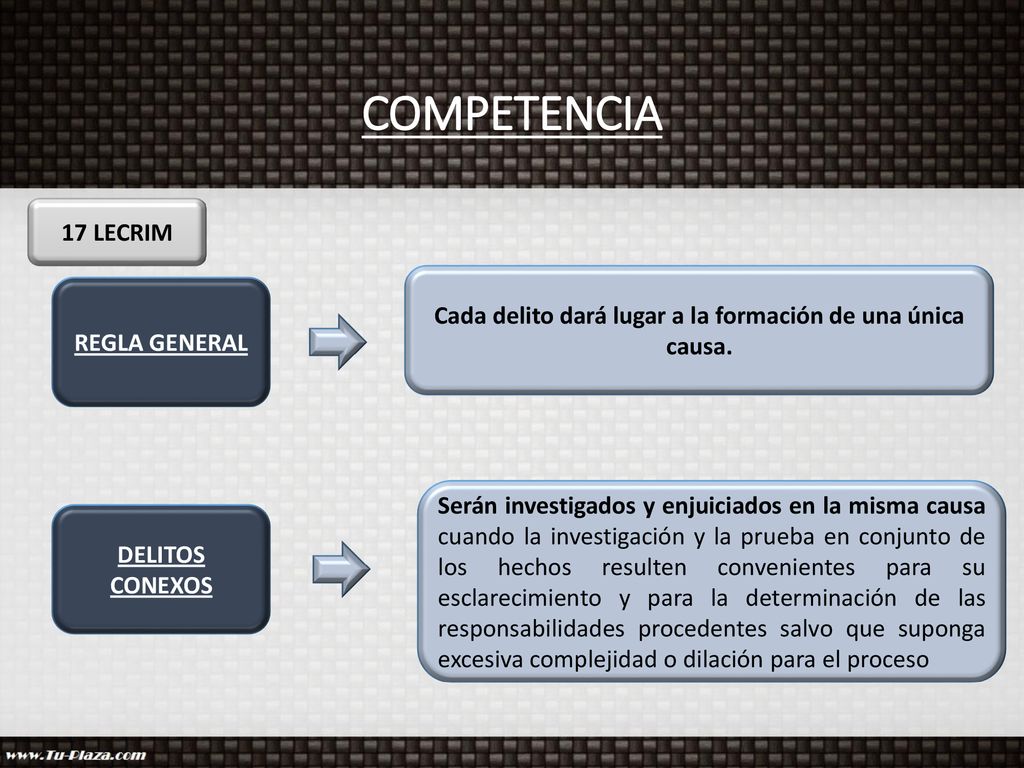 Cada delito dará lugar a la formación de una única causa.