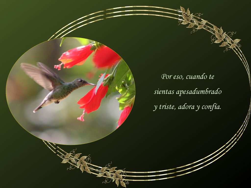 Por eso, cuando te sientas apesadumbrado y triste, adora y confía.