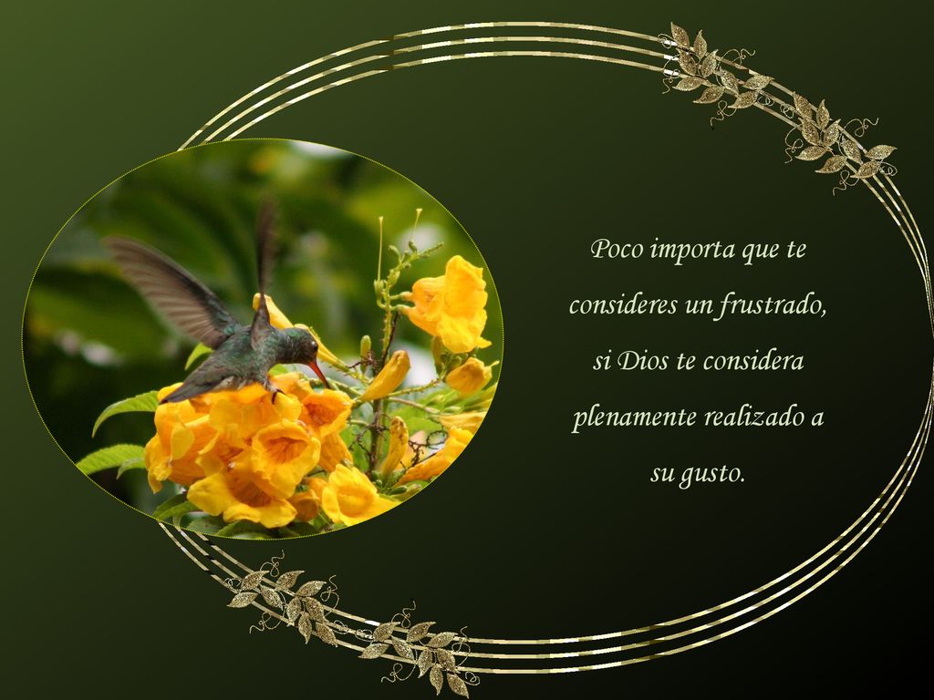 Poco importa que te consideres un frustrado, si Dios te considera plenamente realizado a su gusto.