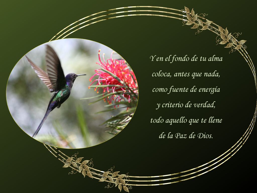 Y en el fondo de tu alma coloca, antes que nada, como fuente de energía y criterio de verdad, todo aquello que te llene de la Paz de Dios.