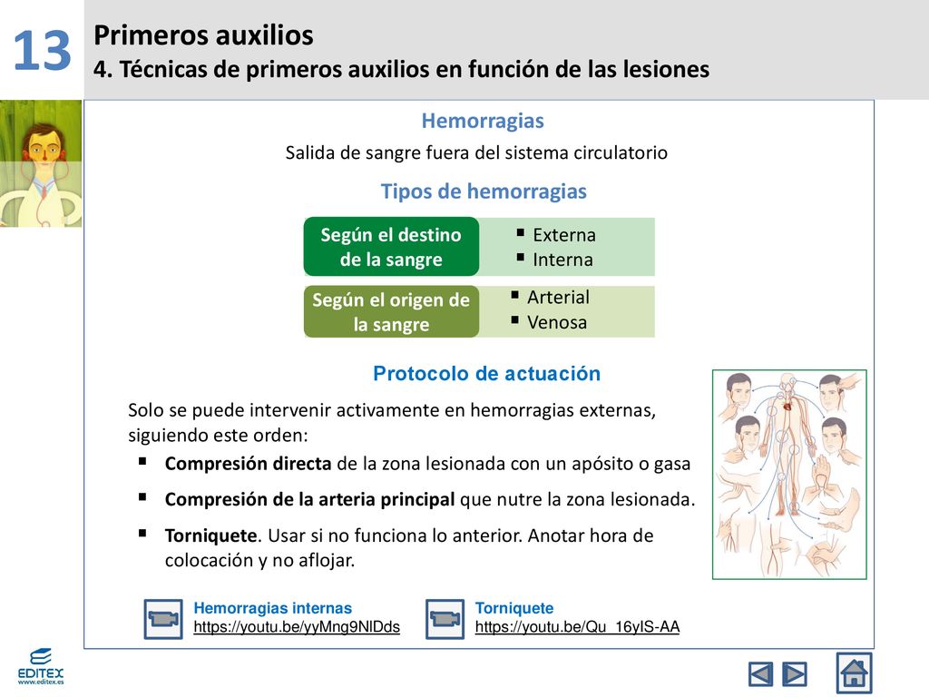 Según el destino de la sangre Según el origen de la sangre