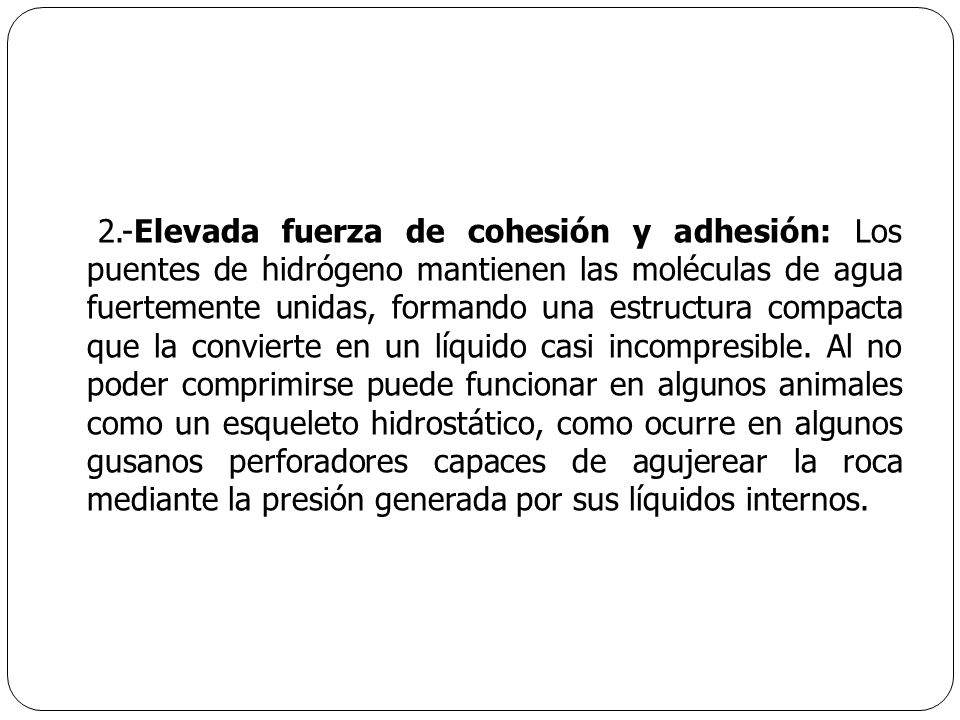 2.-Elevada fuerza de cohesión y adhesión: Los puentes de hidrógeno mantienen las moléculas de agua fuertemente unidas, formando una estructura compacta que la convierte en un líquido casi incompresible.
