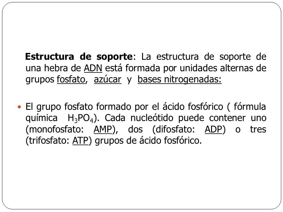 Estructura de soporte: La estructura de soporte de una hebra de ADN está formada por unidades alternas de grupos fosfato, azúcar y bases nitrogenadas: