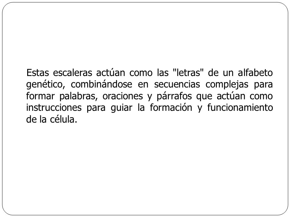 Estas escaleras actúan como las letras de un alfabeto genético, combinándose en secuencias complejas para formar palabras, oraciones y párrafos que actúan como instrucciones para guiar la formación y funcionamiento de la célula.