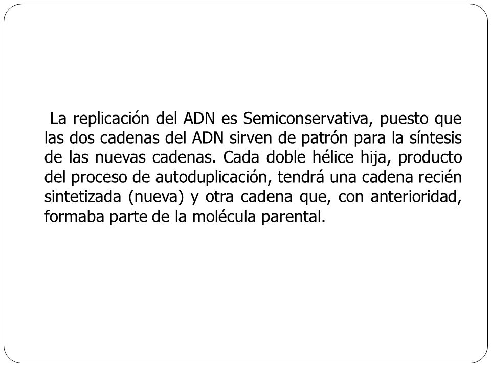 La replicación del ADN es Semiconservativa, puesto que las dos cadenas del ADN sirven de patrón para la síntesis de las nuevas cadenas.