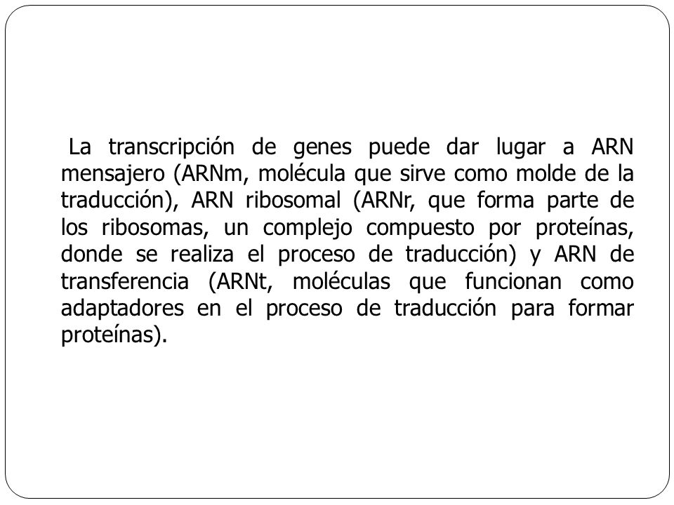 La transcripción de genes puede dar lugar a ARN mensajero (ARNm, molécula que sirve como molde de la traducción), ARN ribosomal (ARNr, que forma parte de los ribosomas, un complejo compuesto por proteínas, donde se realiza el proceso de traducción) y ARN de transferencia (ARNt, moléculas que funcionan como adaptadores en el proceso de traducción para formar proteínas).