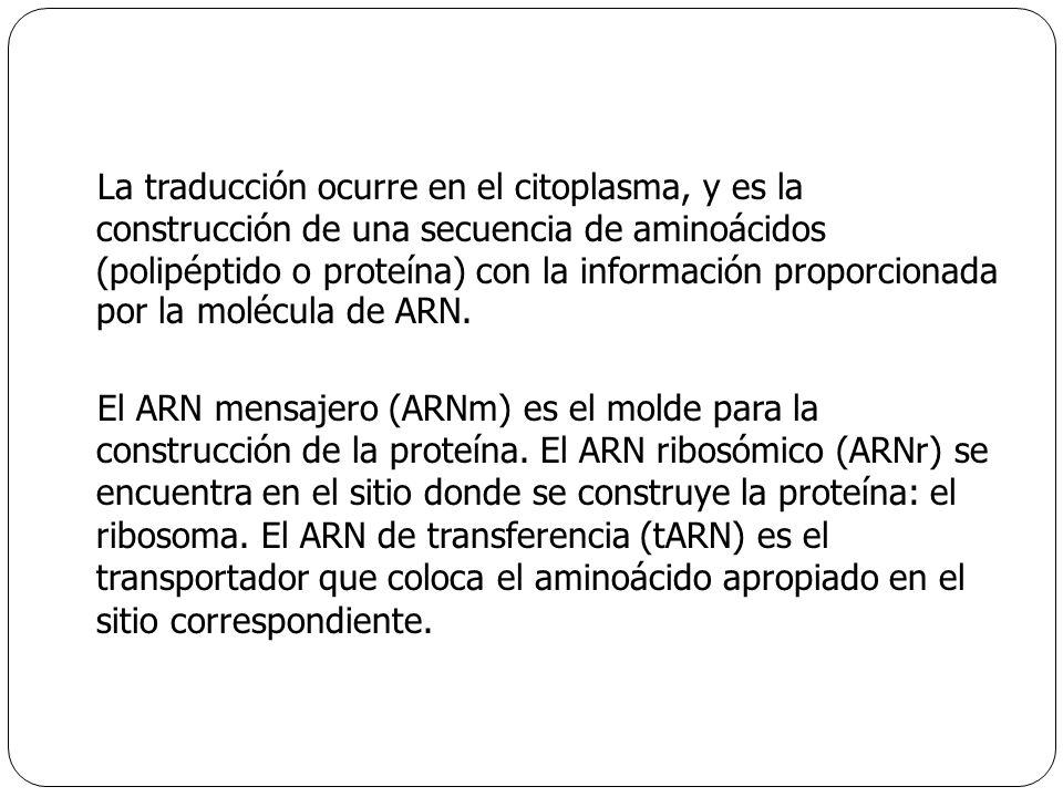 La traducción ocurre en el citoplasma, y es la construcción de una secuencia de aminoácidos (polipéptido o proteína) con la información proporcionada por la molécula de ARN.