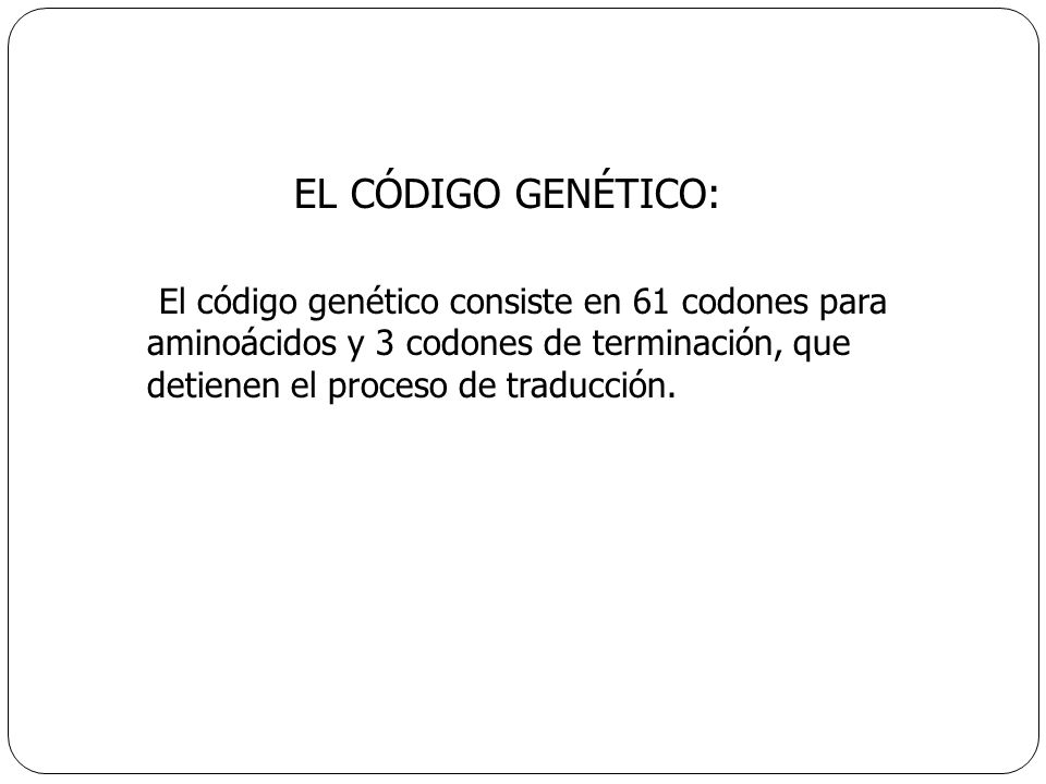 EL CÓDIGO GENÉTICO: El código genético consiste en 61 codones para aminoácidos y 3 codones de terminación, que detienen el proceso de traducción.