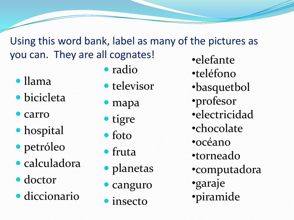 Using this word bank, label as many of the pictures as you can