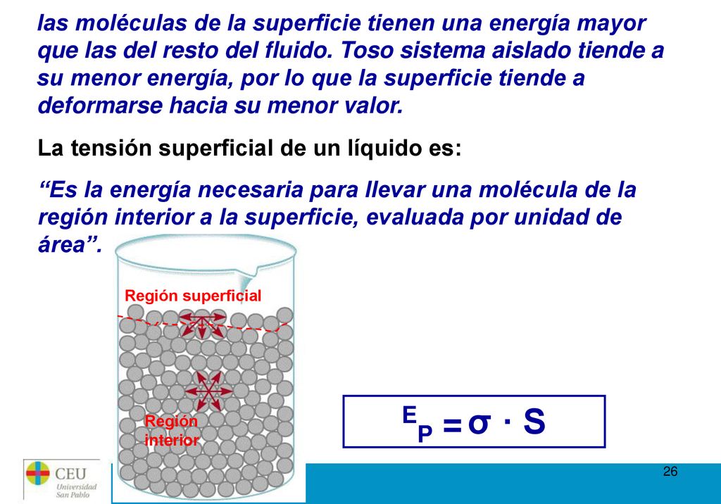 las moléculas de la superficie tienen una energía mayor que las del resto del fluido. Toso sistema aislado tiende a su menor energía, por lo que la superficie tiende a deformarse hacia su menor valor.