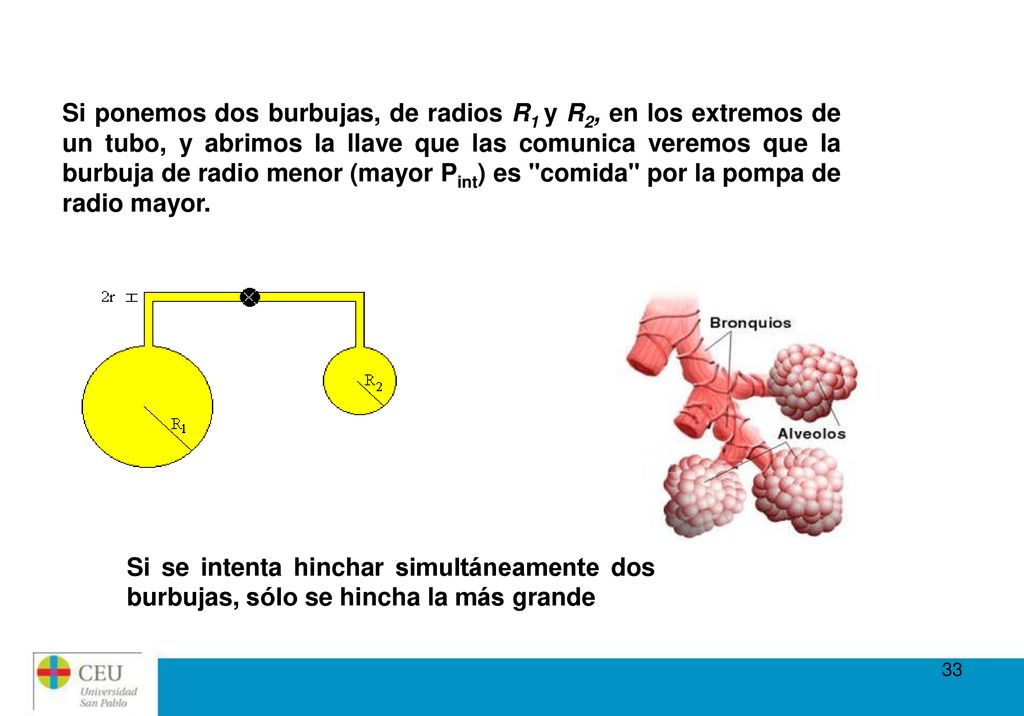 Si ponemos dos burbujas, de radios R1 y R2, en los extremos de un tubo, y abrimos la llave que las comunica veremos que la burbuja de radio menor (mayor Pint) es comida por la pompa de radio mayor.