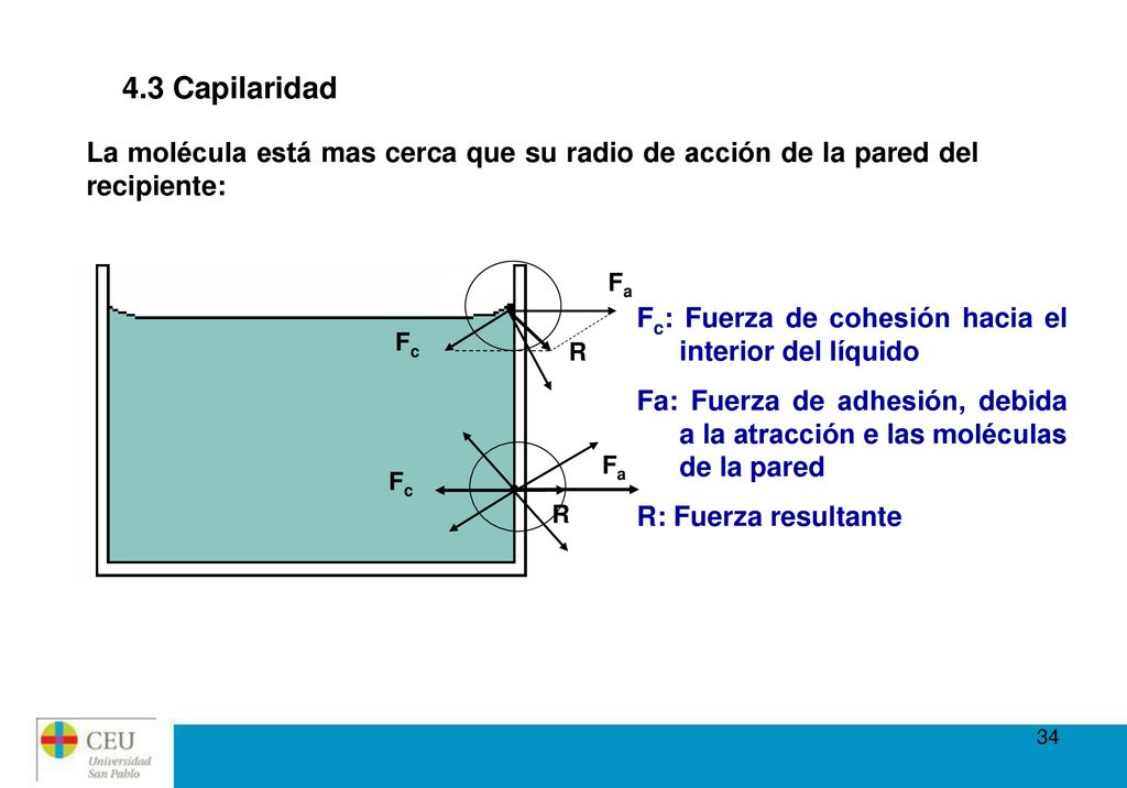 4.3 Capilaridad La molécula está mas cerca que su radio de acción de la pared del recipiente: Fa. R.