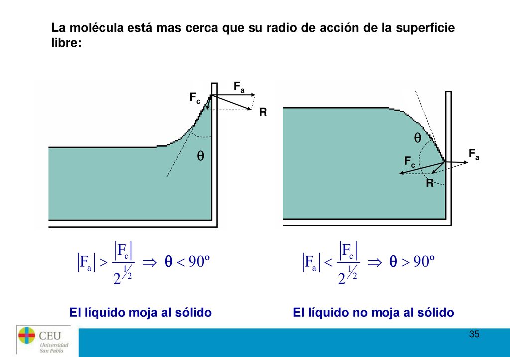 El líquido moja al sólido El líquido no moja al sólido