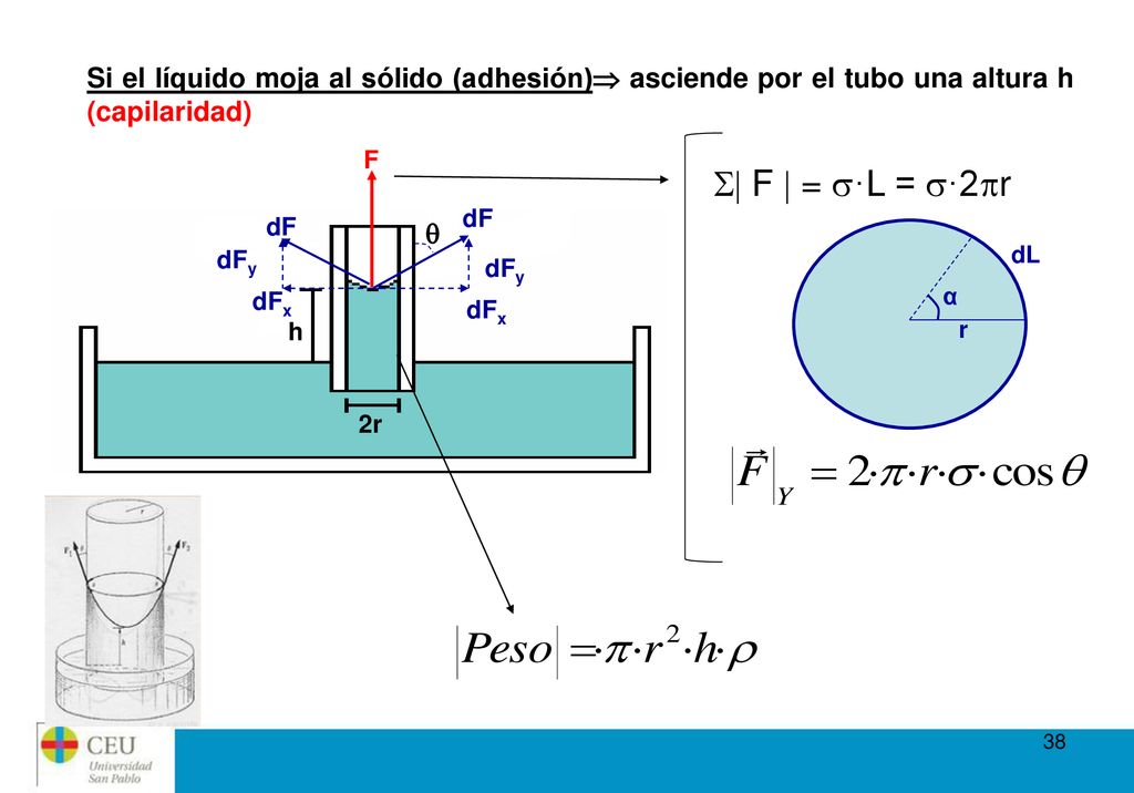 Si el líquido moja al sólido (adhesión) asciende por el tubo una altura h (capilaridad)