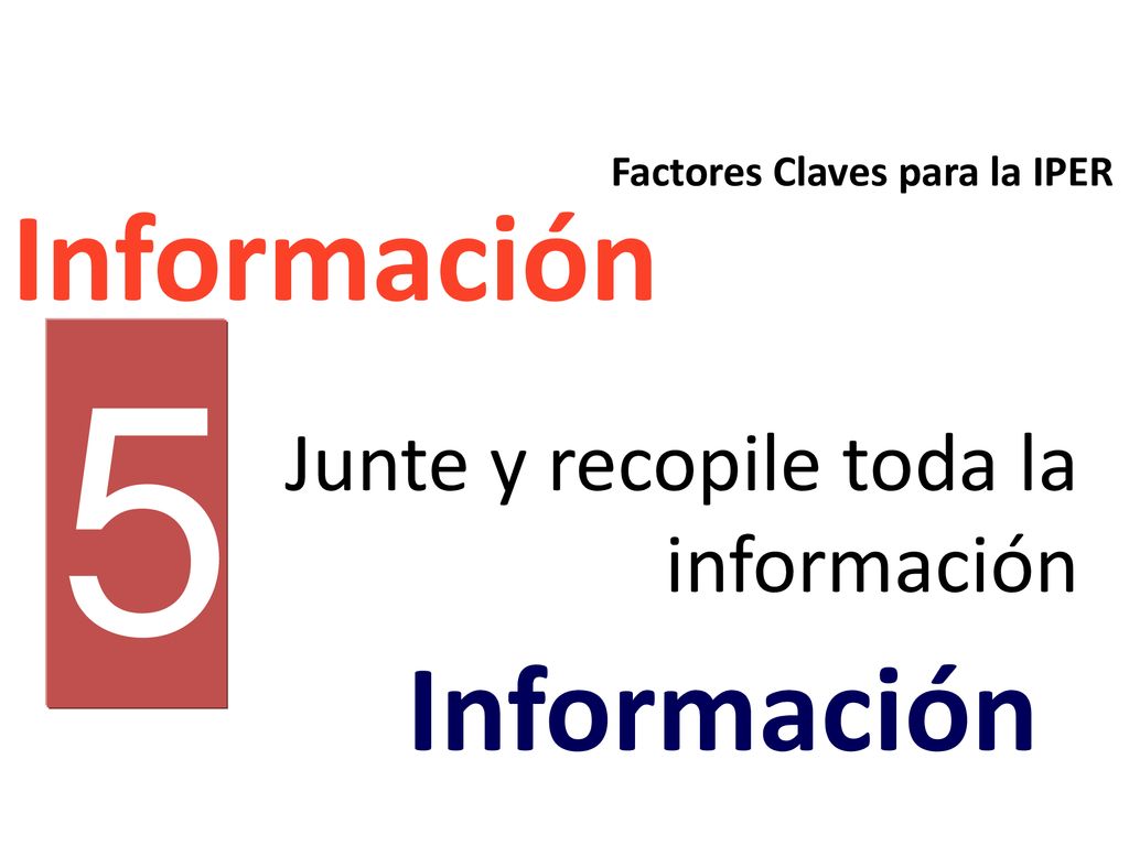 5 Información Información Junte y recopile toda la información