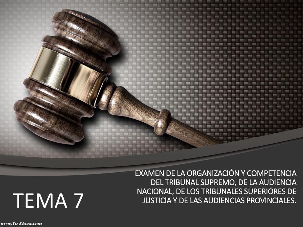 EXAMEN DE LA ORGANIZACIÓN Y COMPETENCIA DEL TRIBUNAL SUPREMO, DE LA AUDIENCIA NACIONAL, DE LOS TRIBUNALES SUPERIORES DE JUSTICIA Y DE LAS AUDIENCIAS PROVINCIALES.