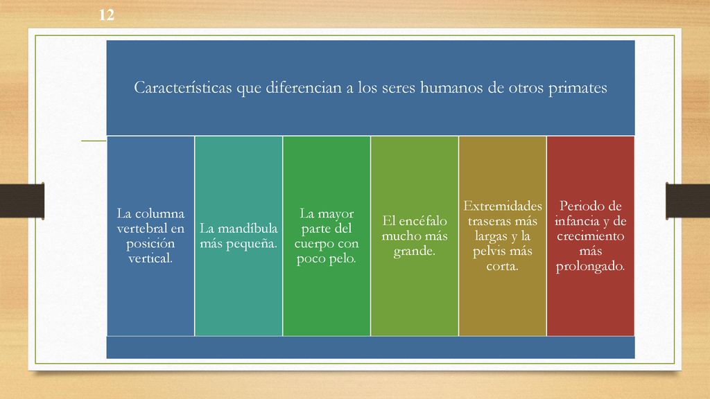 Características que diferencian a los seres humanos de otros primates