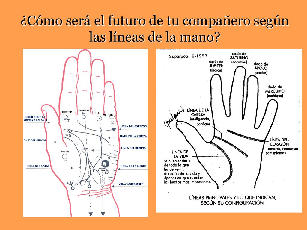 ¿Cómo será el futuro de tu compañero según las líneas de la mano