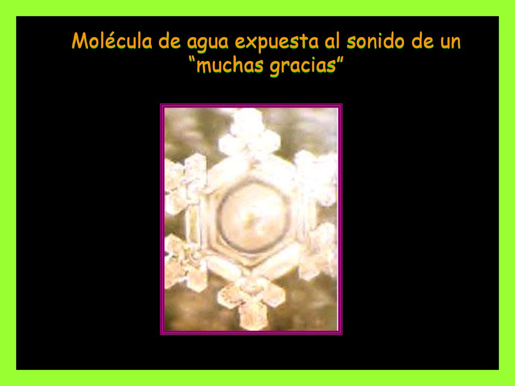 Molécula de agua expuesta al sonido de un muchas gracias