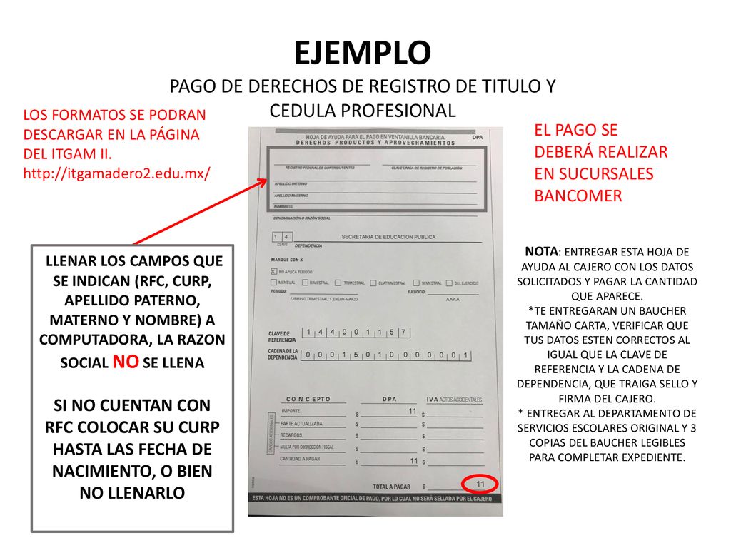 PAGO DE DERECHOS DE REGISTRO DE TITULO Y CEDULA PROFESIONAL
