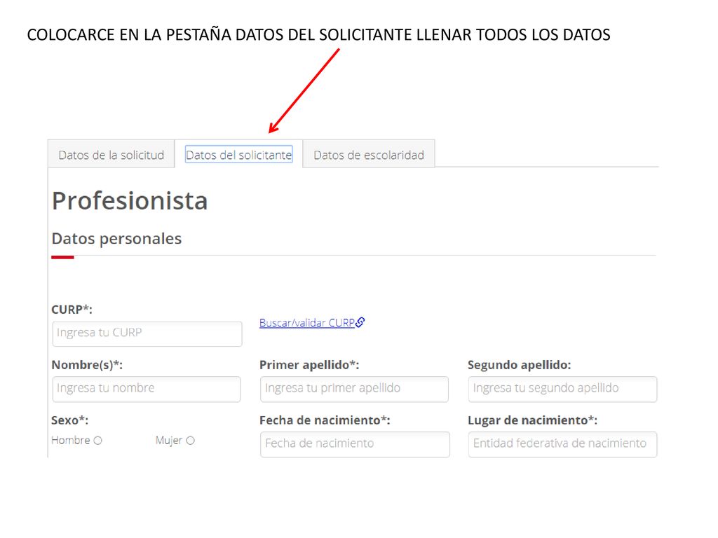 COLOCARCE EN LA PESTAÑA DATOS DEL SOLICITANTE LLENAR TODOS LOS DATOS