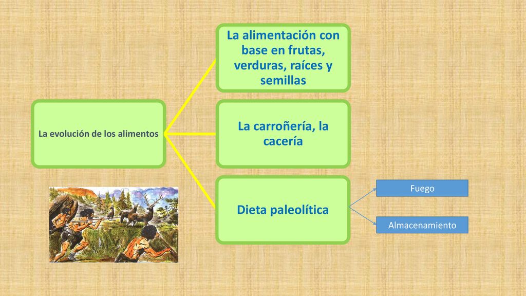 La alimentación con base en frutas, verduras, raíces y semillas