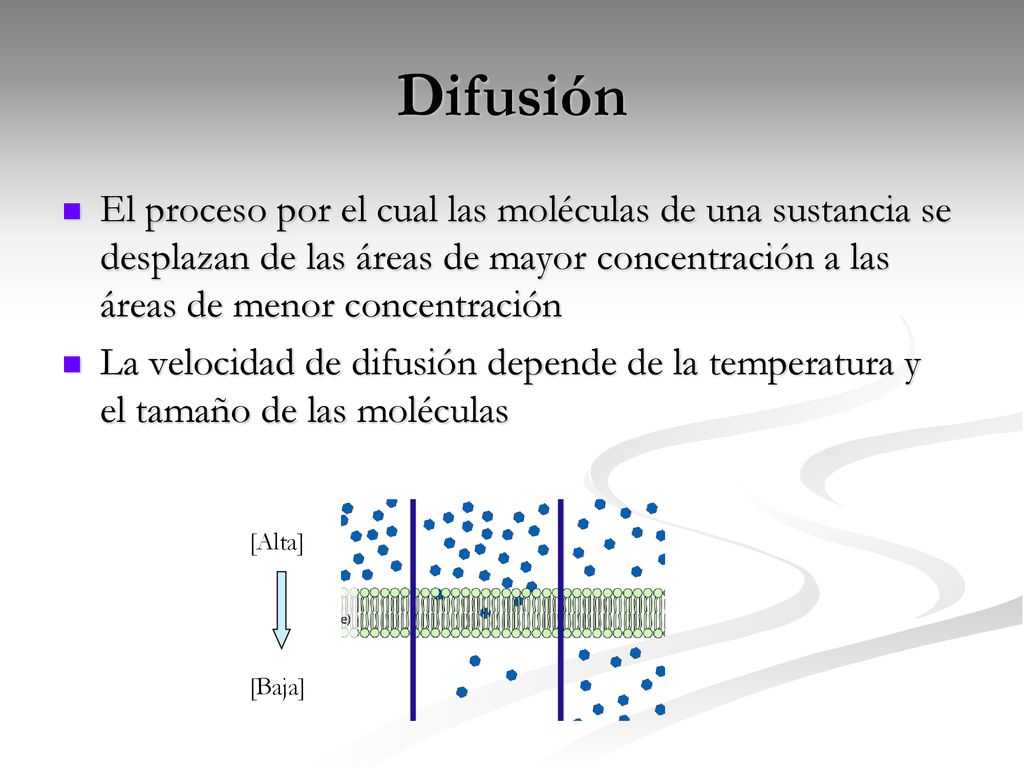 Difusión El proceso por el cual las moléculas de una sustancia se desplazan de las áreas de mayor concentración a las áreas de menor concentración.