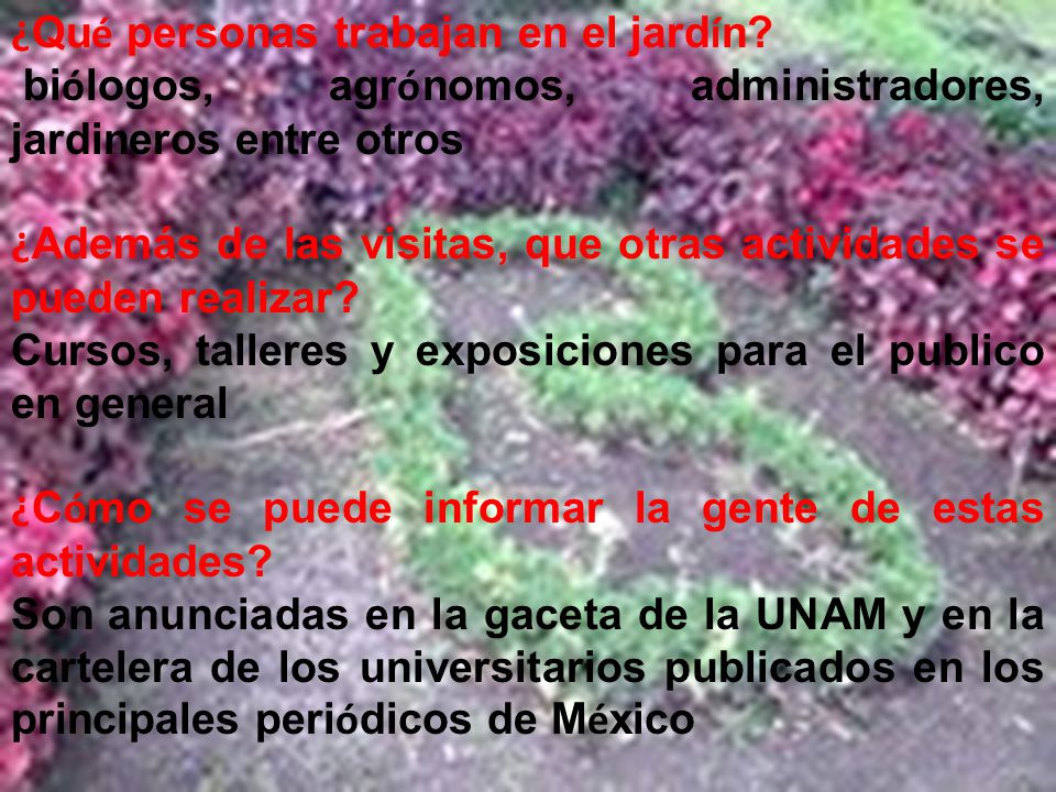 ¿Además de las visitas, que otras actividades se pueden realizar