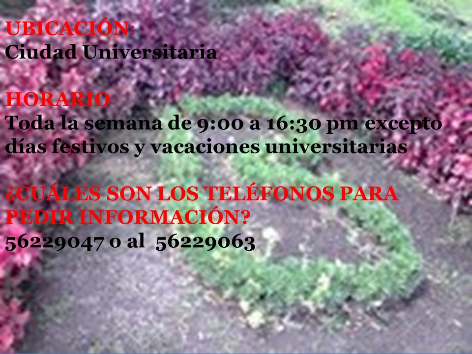 UBICACIÓN: Ciudad Universitaria. HORARIO. Toda la semana de 9:00 a 16:30 pm excepto días festivos y vacaciones universitarias.